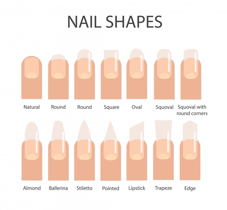 ネイルの形イメージ