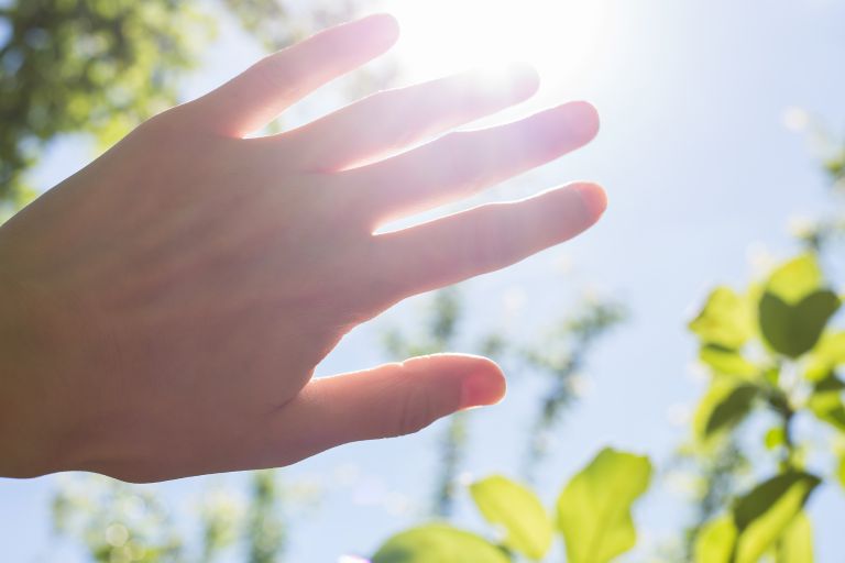 手と日差し