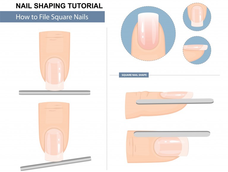 プレパレーション