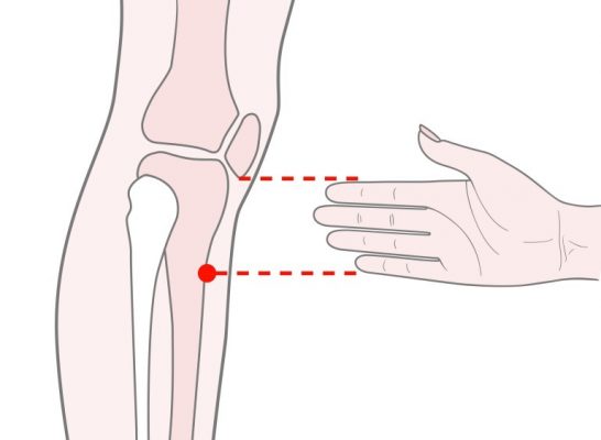 足三里（あしさんり）