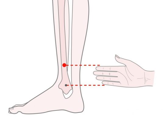 三陰交（さんいんこう）