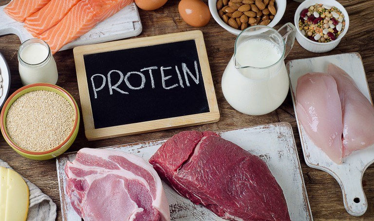 タンパク質を含む食材