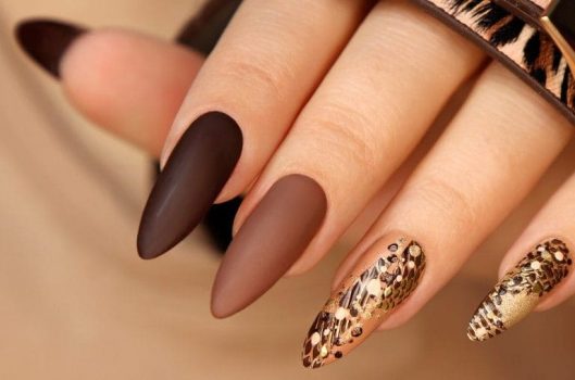 ブラウンネイル