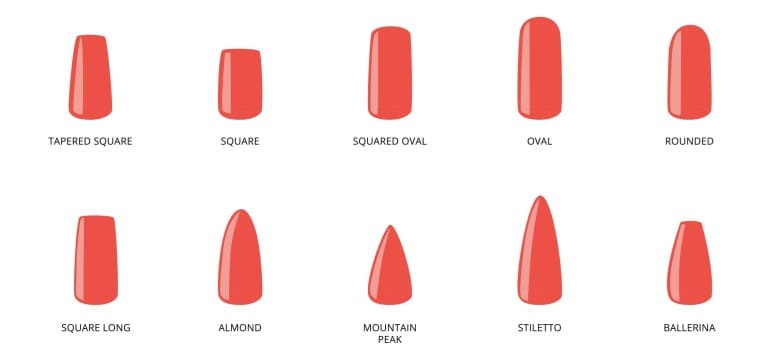 ネイルチップの形状