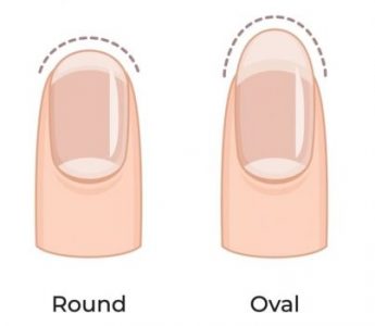ラウンドとオーバルの爪の形